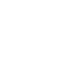 zbetvn