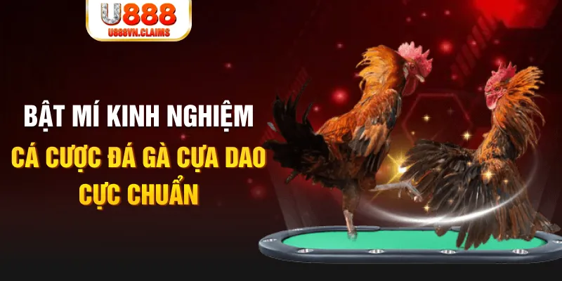 zbetvn xổ số miền nam xổ số miền nam