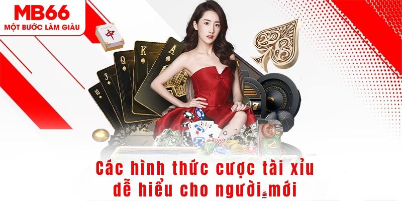 zbetvn DG Trực Tuyến