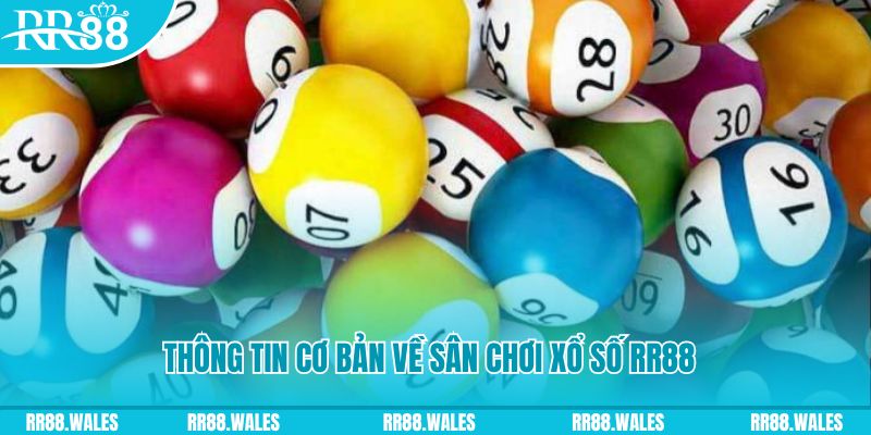 zbetvn đá gà hôm nay