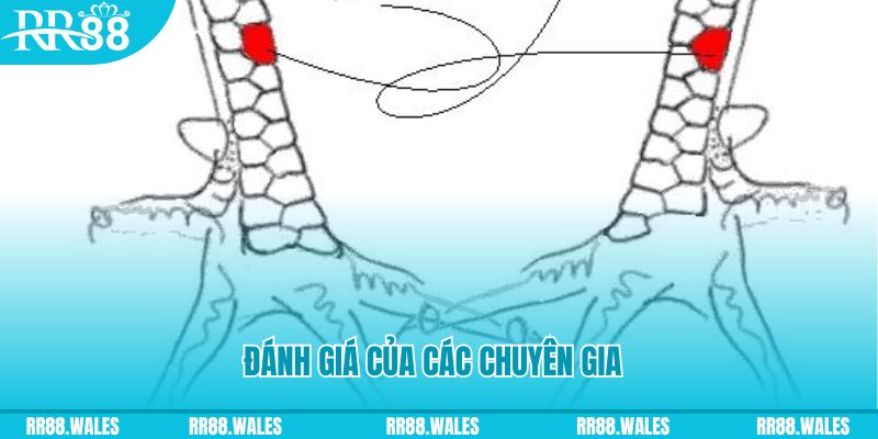 zbetvn V8 Game Bài 3d