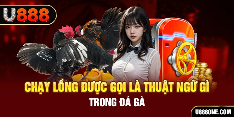 zbetvn tai game vua bai ve may tinh