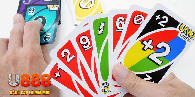 zbetvn gà chọi cu cần