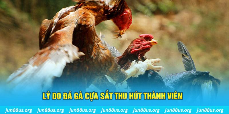 zbetvn chiếm slot là gì