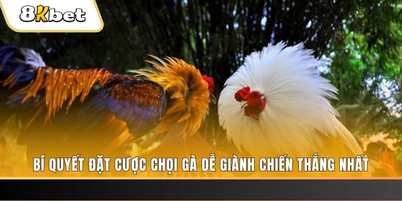 zbetvn xổ số thứ hai hàng tuần