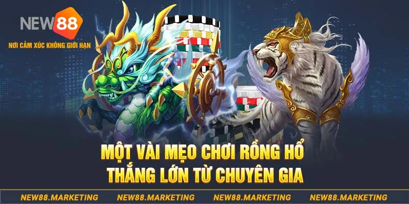 zbetvn slot machine là gì