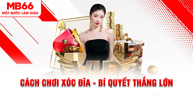 zbetvn trực tiếp đá gà c1 hôm nay