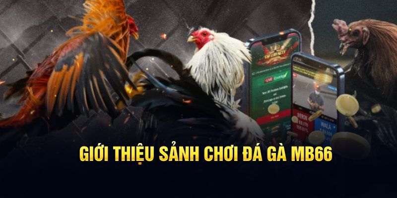 zbetvn đăng nhập poker hôm nay