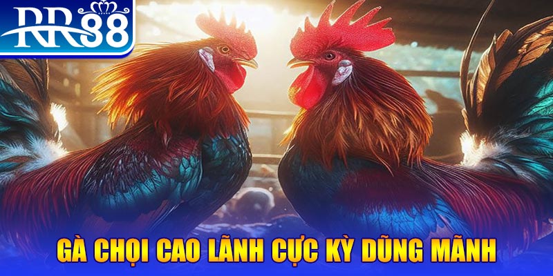 zbetvn ILOVEU Bắn cá